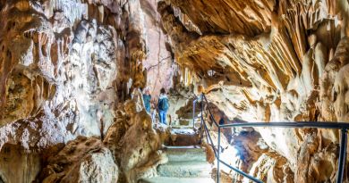Экскурсии в Скельская пещера из села Молочного 2024